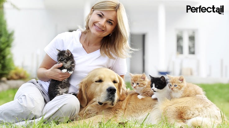 pet care service