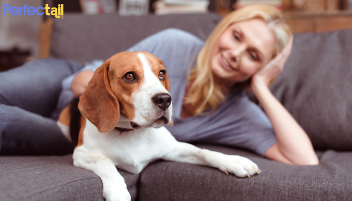 How to find a trustworthy pet sitter